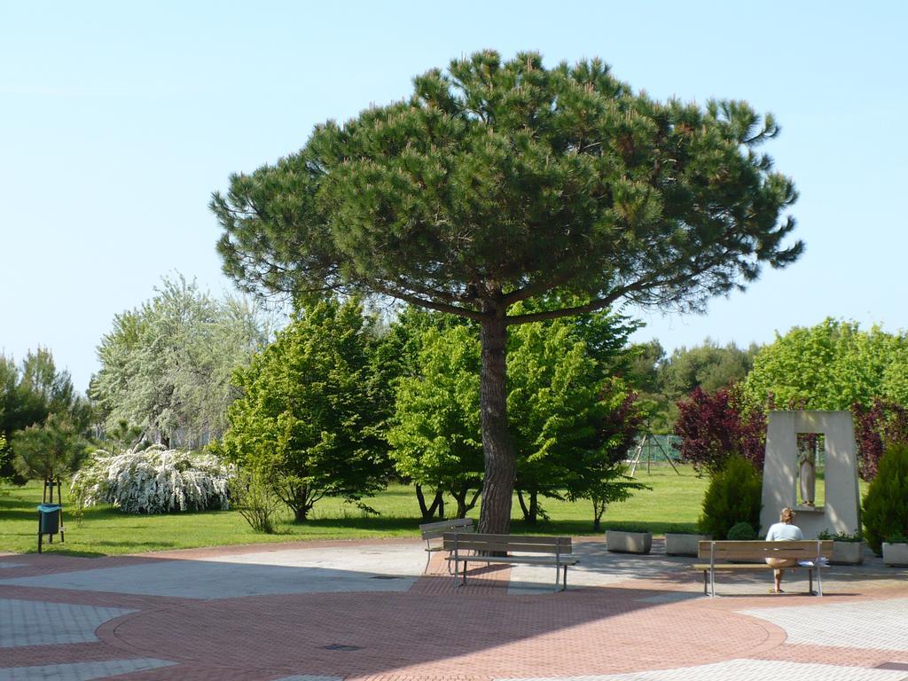 Hotel Casa Per Ferie Maria Assunta Lido di Jesolo Exterior foto